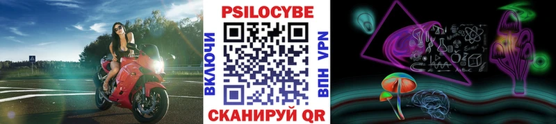 OMG ССЫЛКА  Полысаево  Галлюциногенные грибы мицелий 